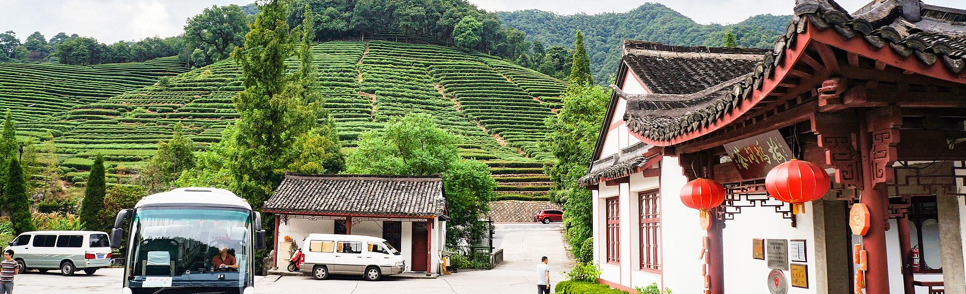 Longjing Tea Garden