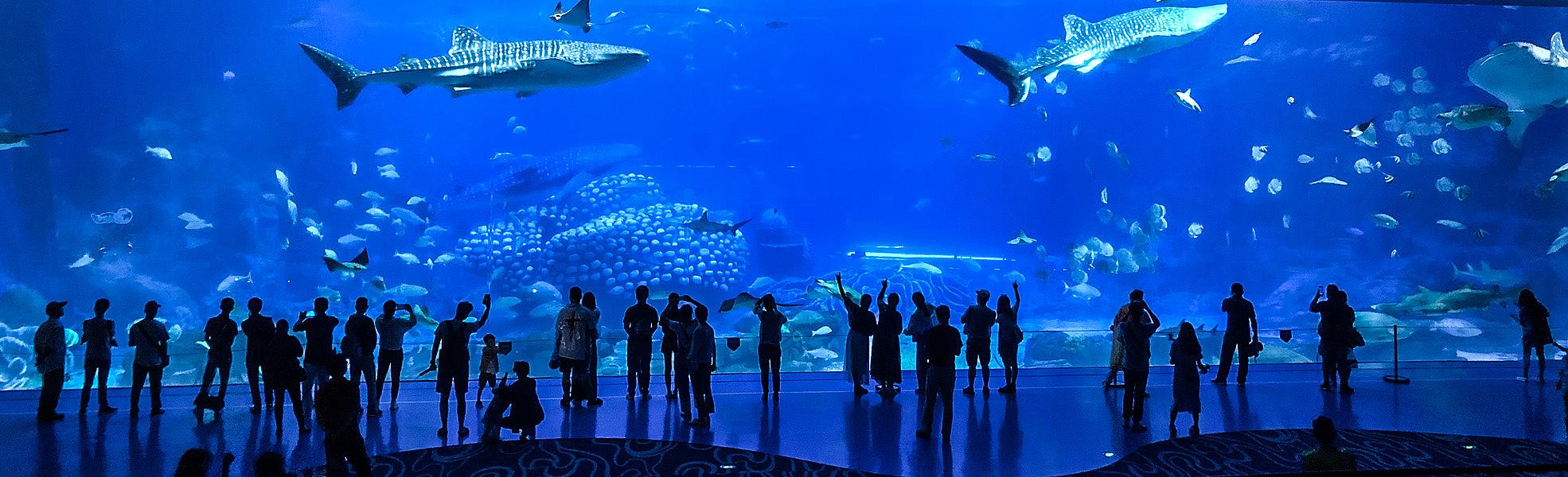 Shanghai Ocean Aquarium