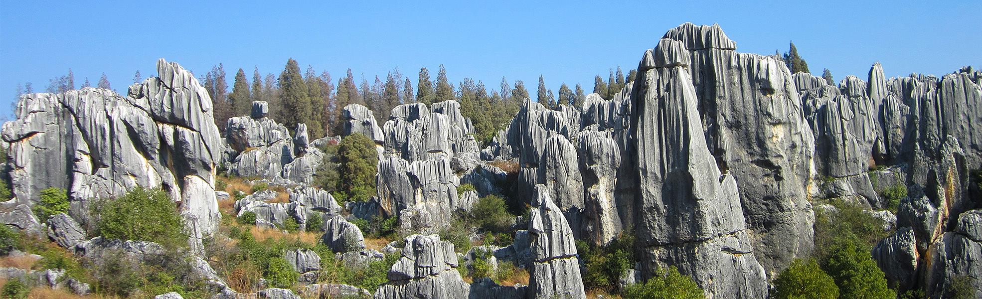 Stone Forest