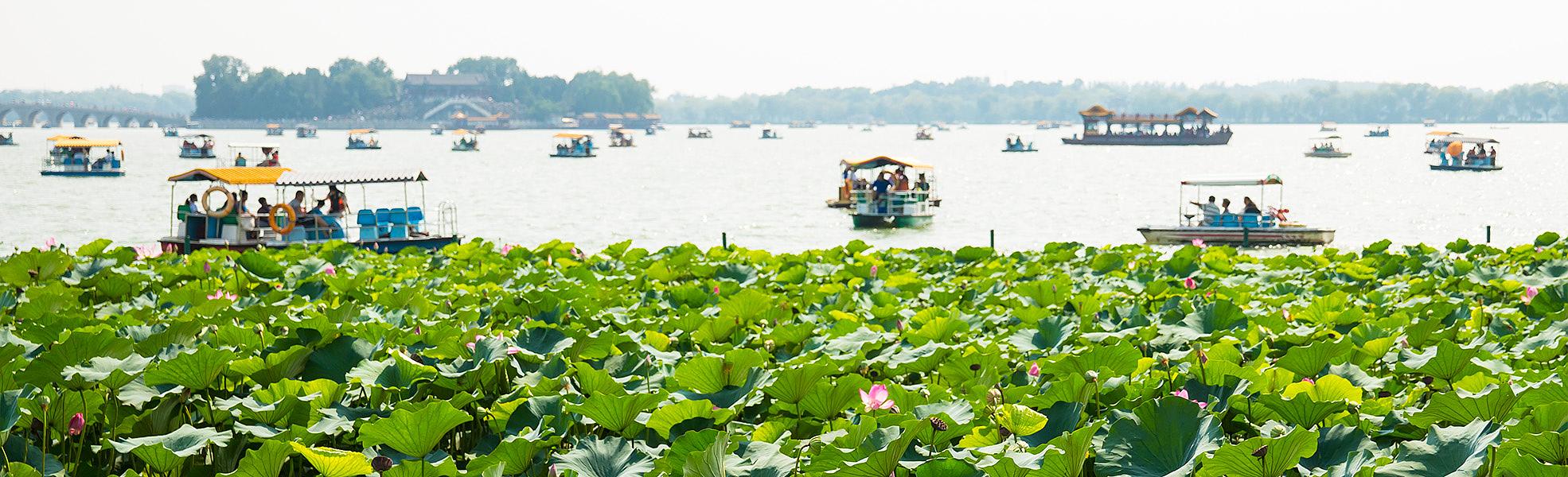 Summer Palace