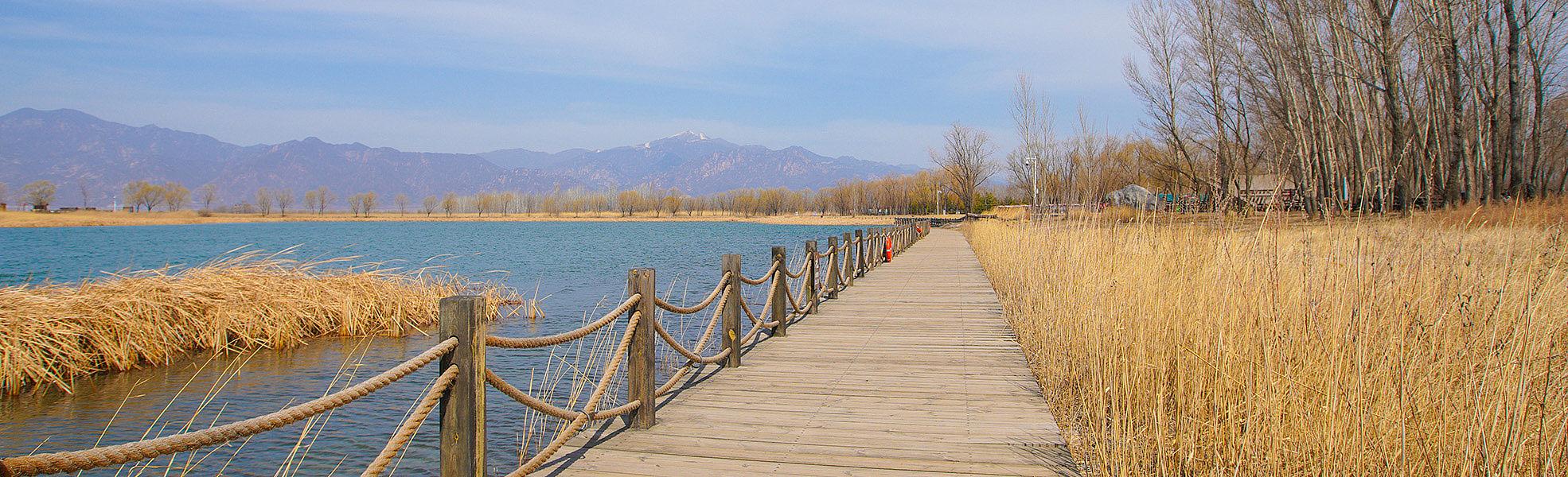 Yanqing Wild Duck Lake